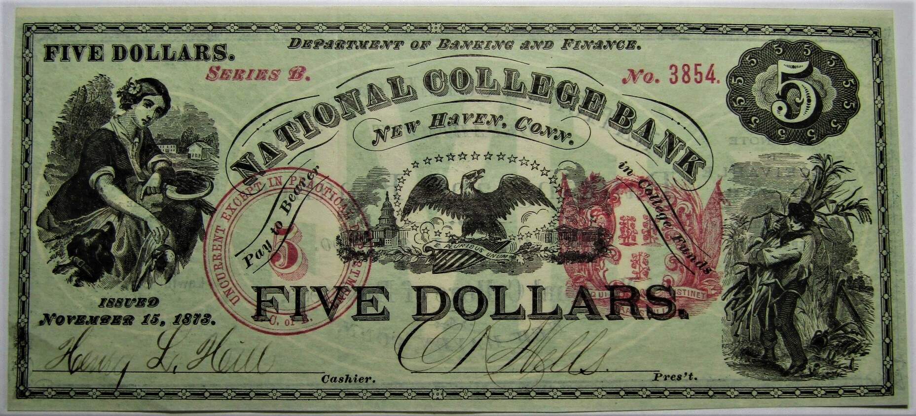 Is-This-Fake?-College-Bank-$5